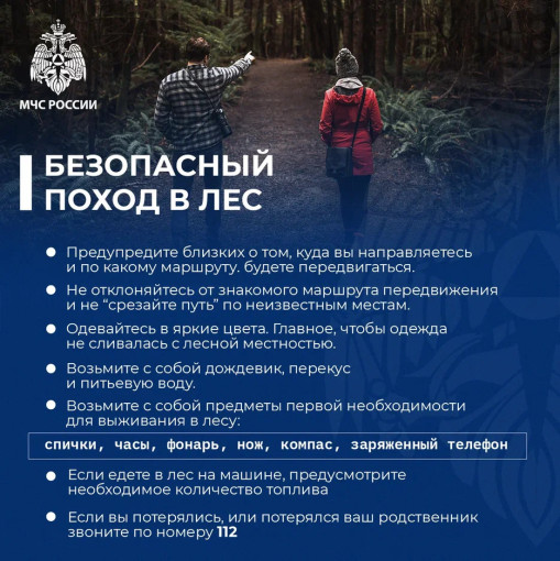 Безопасные прогулки Безопасные прогулки.
